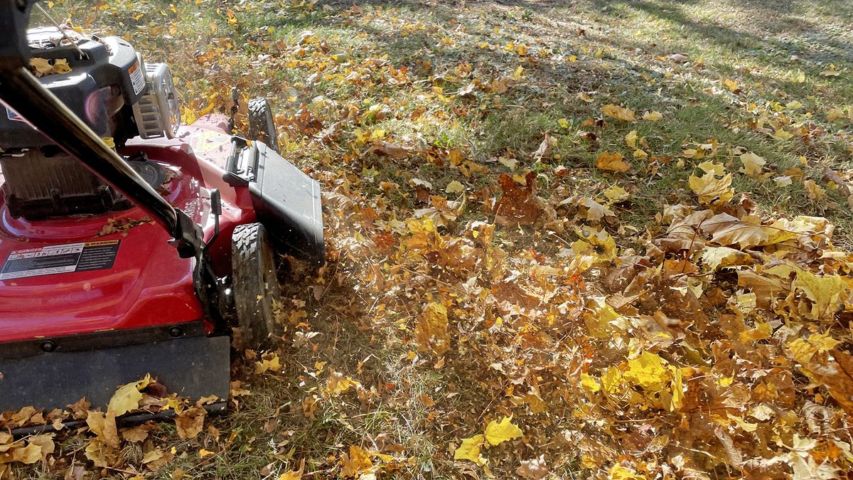 Lawn mower mulching leaves on a field with leaves.