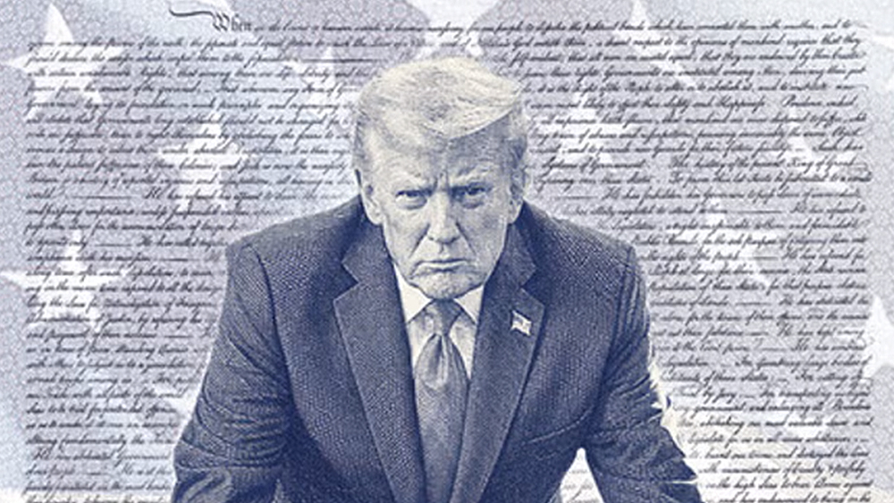 US Patriot Passport showing Donald Trump 