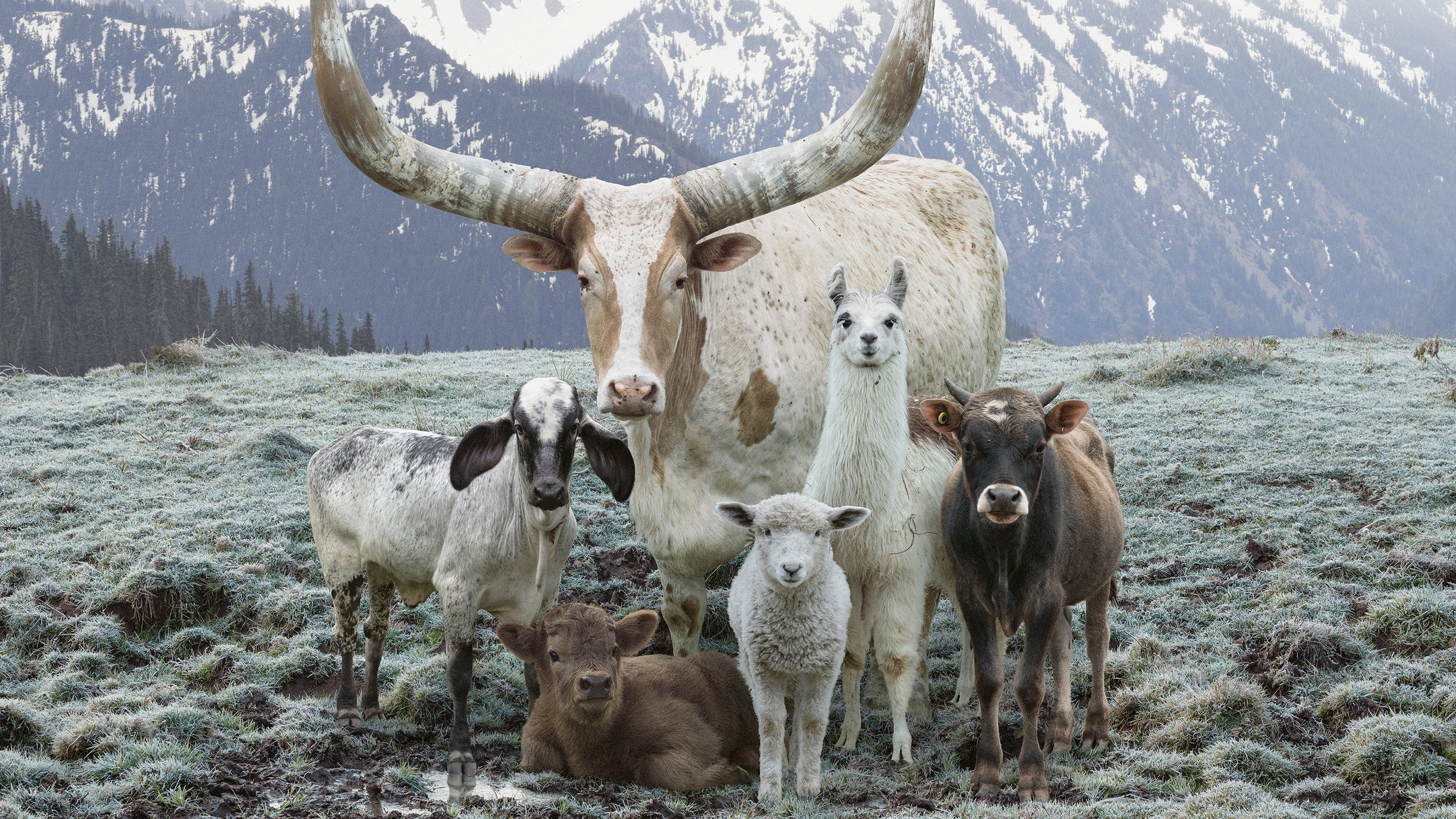 Take a look at the outstanding winning images from the first-ever Australian Photographic Prize awards 2022