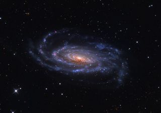 NGC 5033 Spiral Galaxy