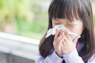 A child with a cold blowing her nose.