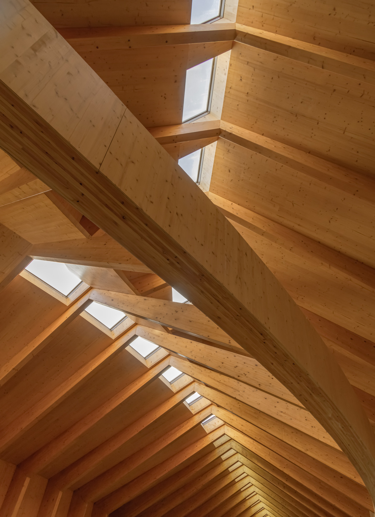 quinta de adorigo portugal