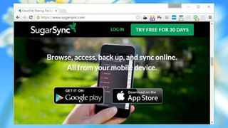 SugarSync Business