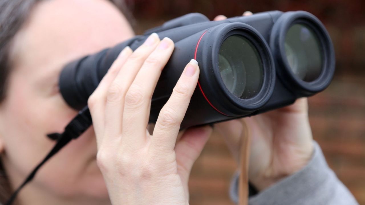 Woman holding a pair of Canon 10x42L IS WP binoculars up to her eyes