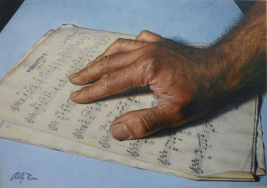 photo realistic colour pencil drawings