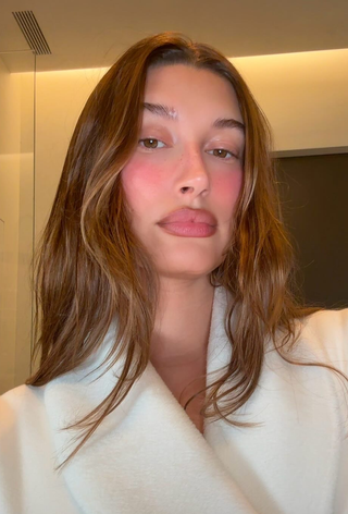 An image of Hailey Bieber with copper hair.