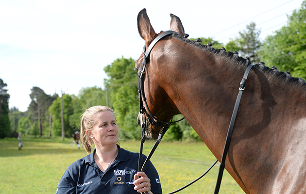 An equine conveyor belt