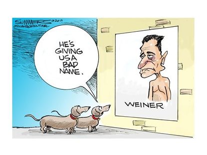 Weiner: Bad for dogs