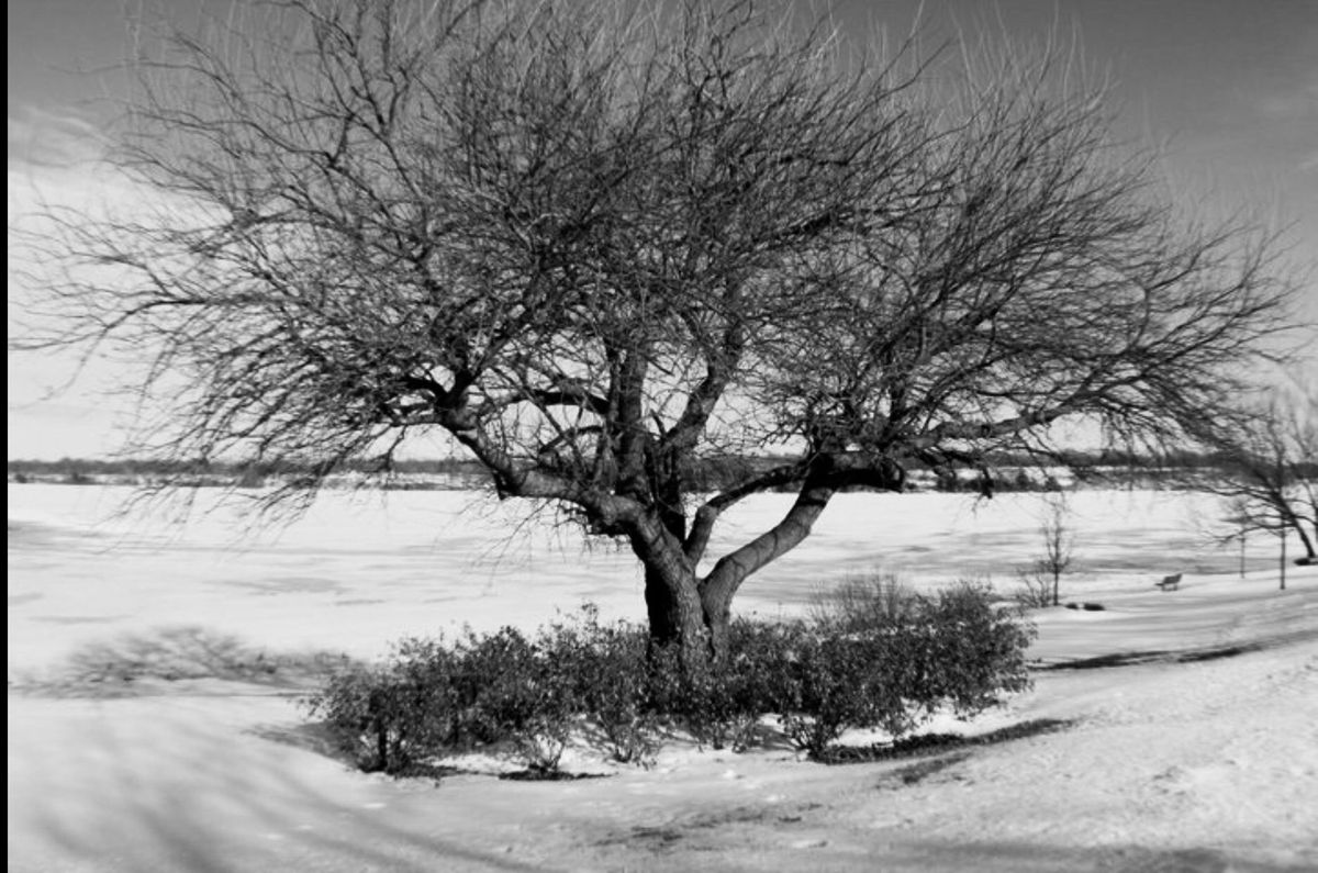GuruShots - Powerful Black &amp; White Jan 26