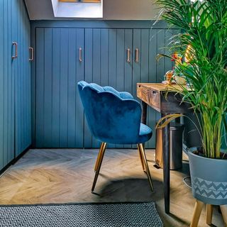 room with potted plant blue cupboard and rug
