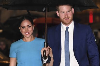 prince harry and meghan markle