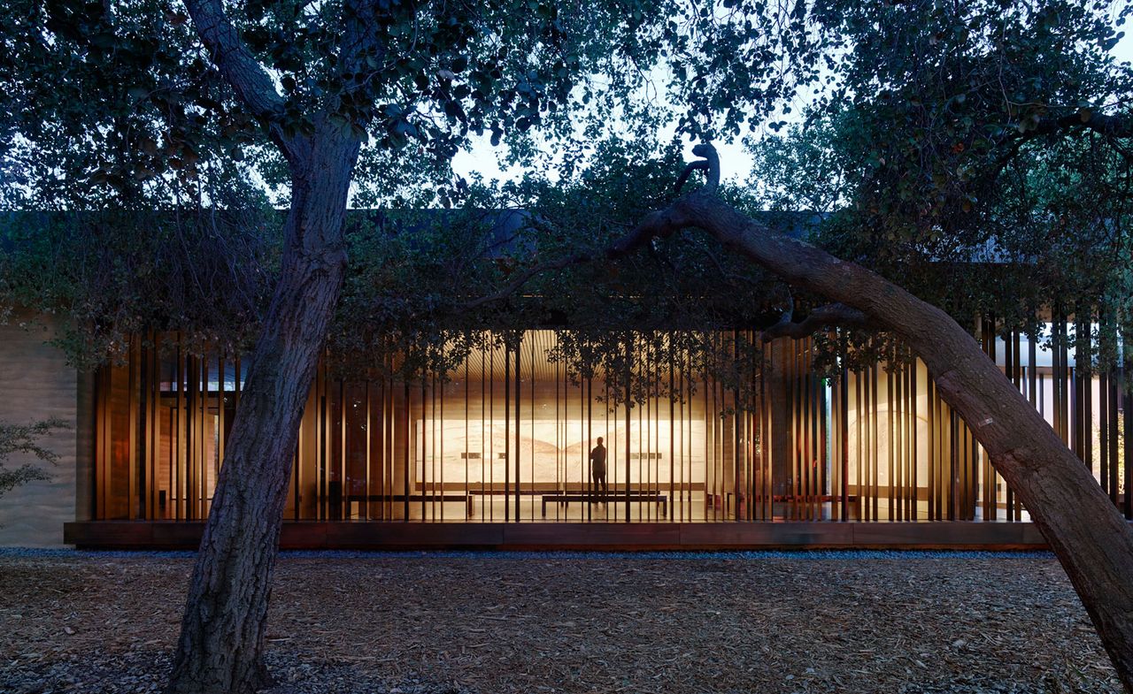 Looking through the trees towards an illuminated exhibition space. 