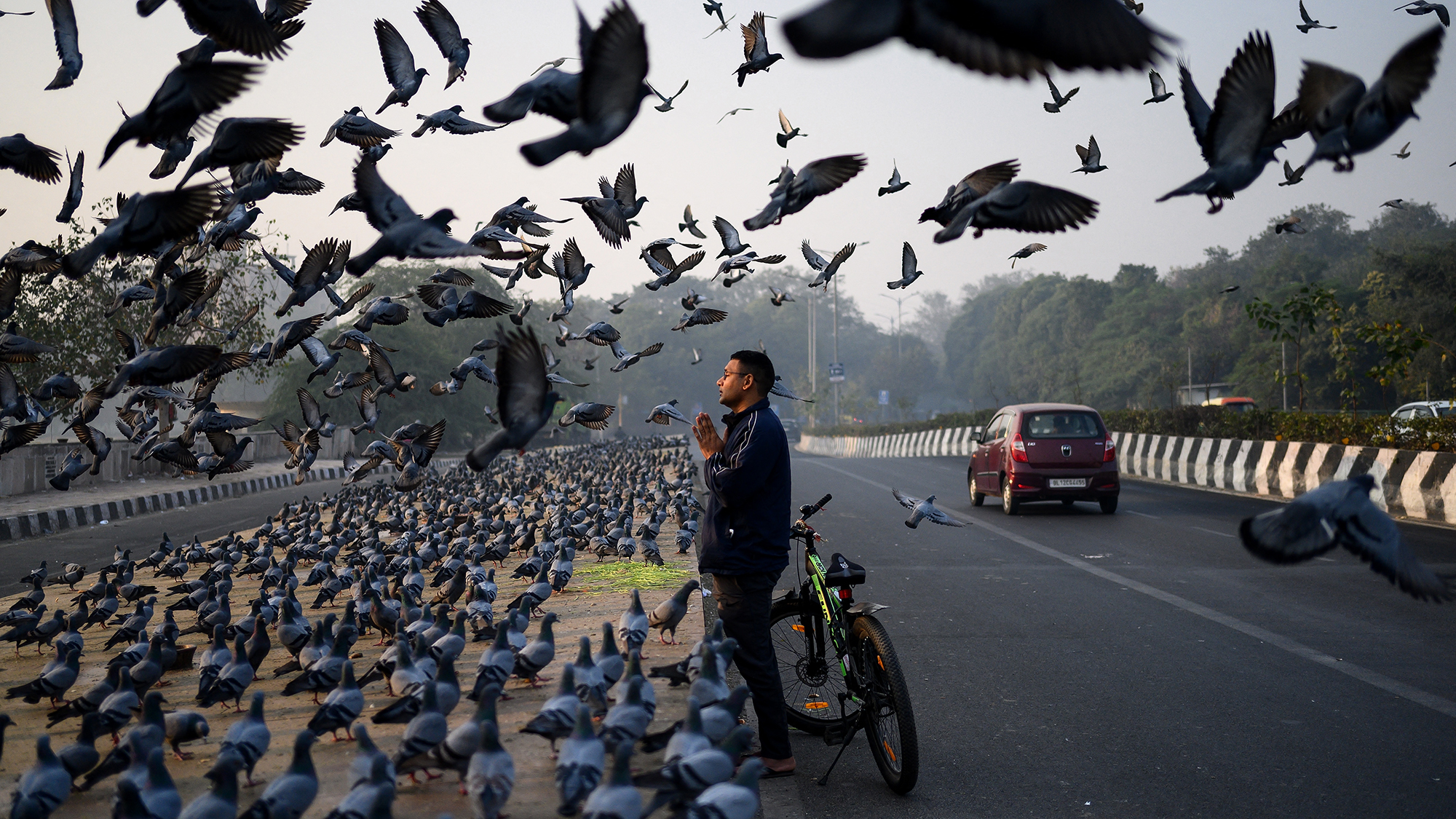 A man offers prayers by the roadside as pigeons fly past on a smoggy morning in New Delhi, India
