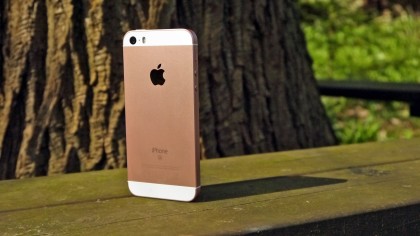 An iPhone standing next to a tree