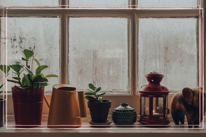 A window covered in condensation with plants and ornaments on the window sill