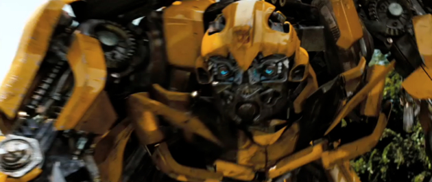 Bumblebee's Back