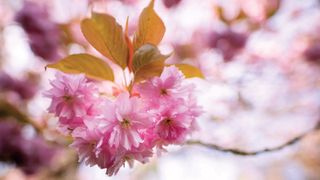 Best photography competitions to enter in March – July 2026: Share your images, get published, and win prizes!