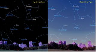 a split screen horizon cityscape. the left is balck with constellations highlighted. the right is lighter blue, with the same constellations highlighted.