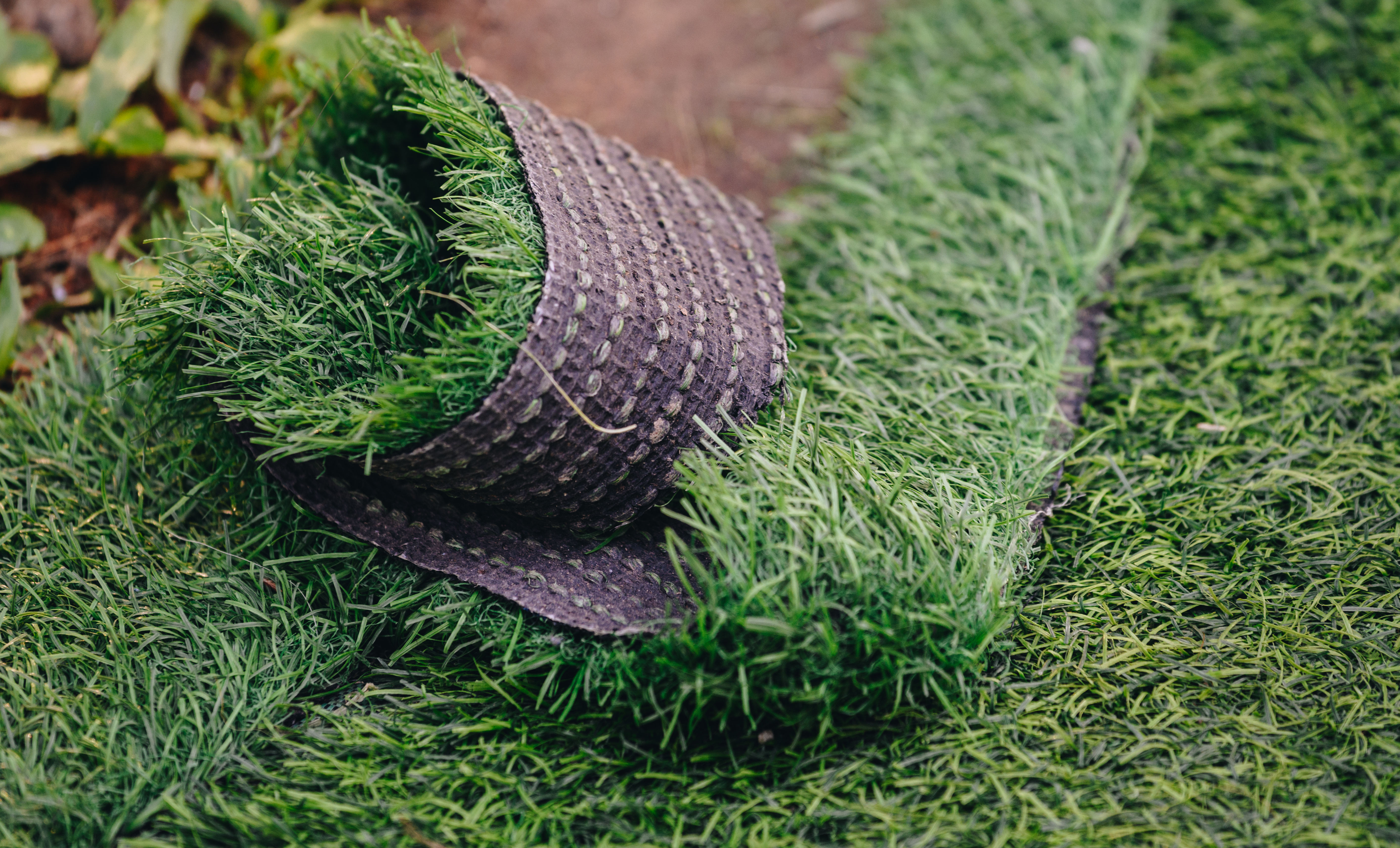 A roll of artificial turf being unrolled