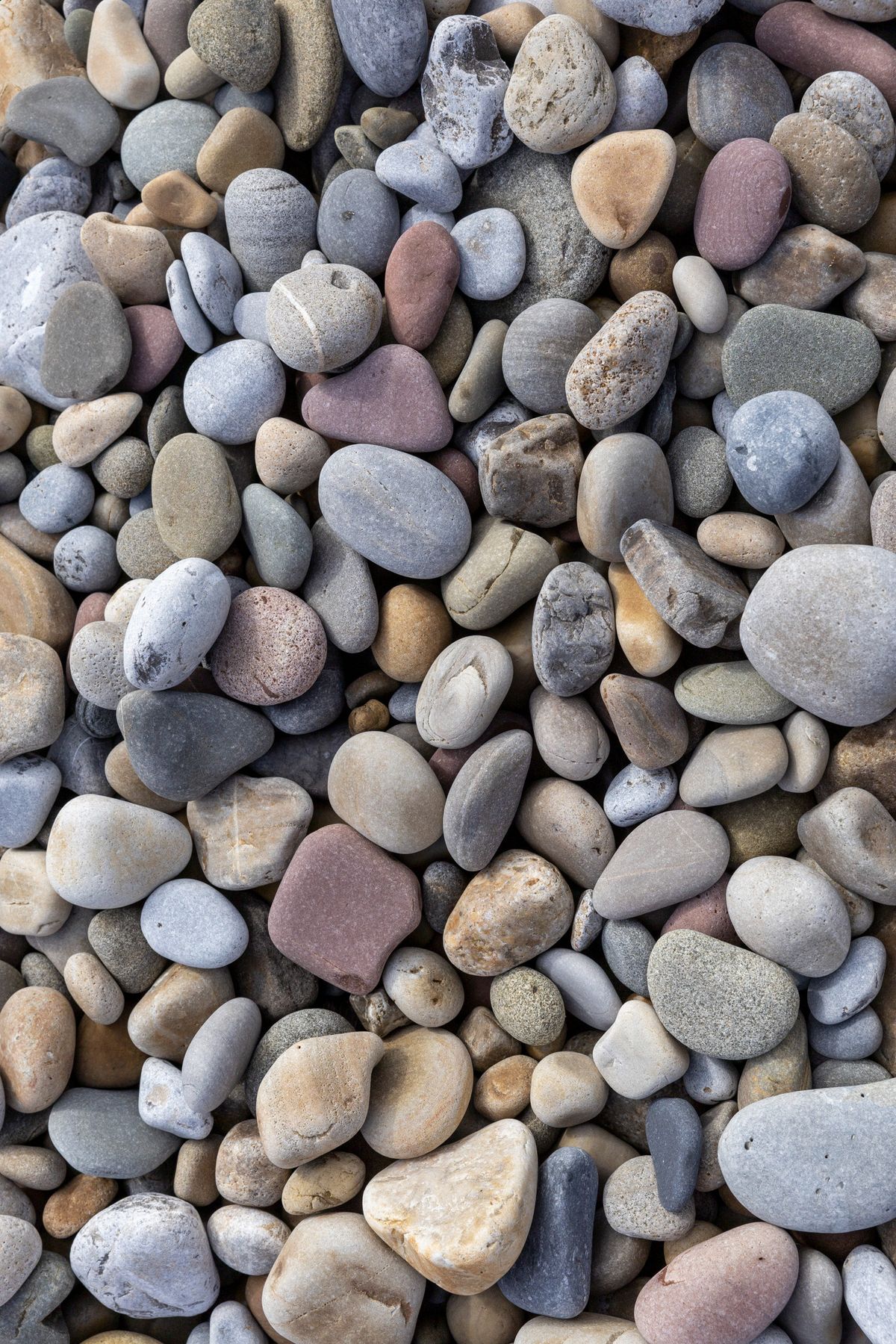 closeup of pebbles on a beach soft light
