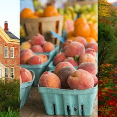 Window, Natural landscape, Fruit, Landscape, Produce, Natural foods, Local food, Peach, Tarn, Bank, 