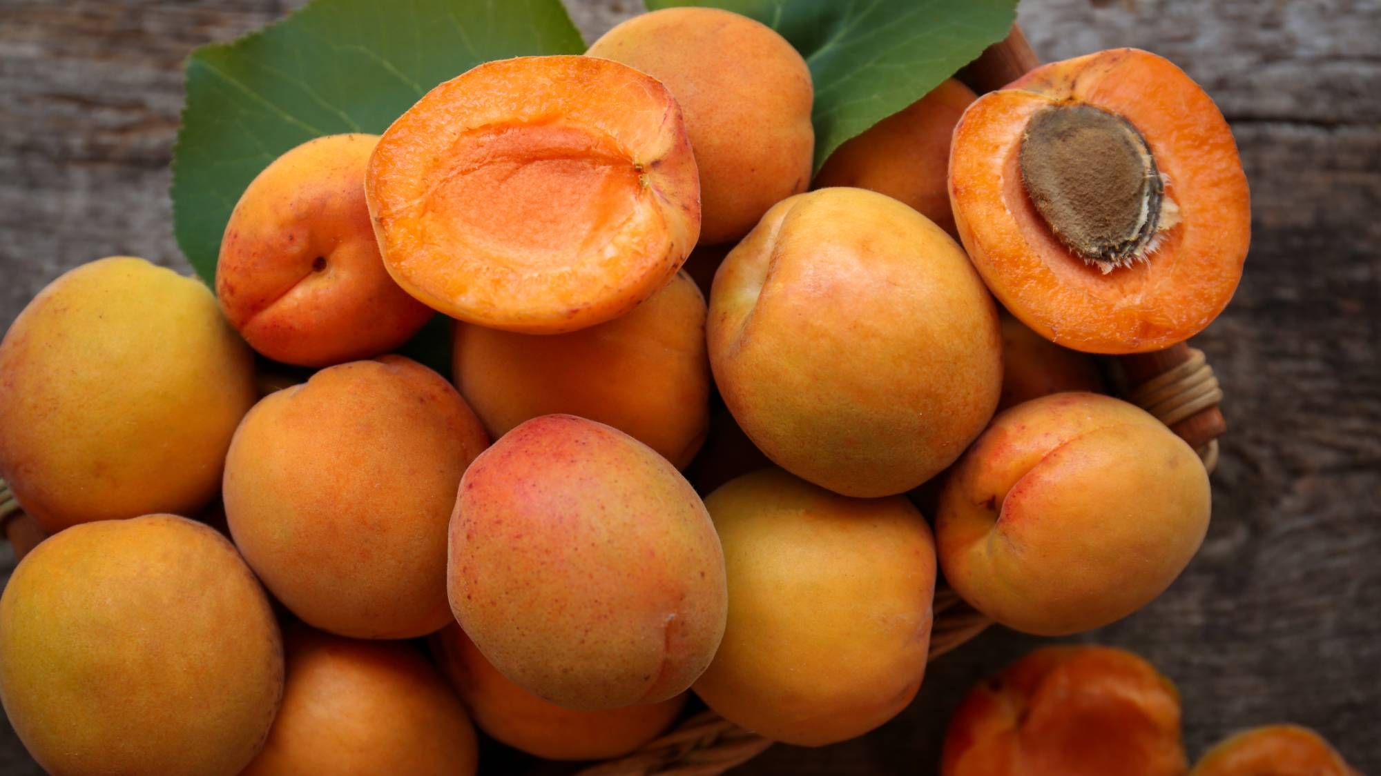 From Pit to Fruit: How to Grow Apricot Trees at Home | Gardening Know How
