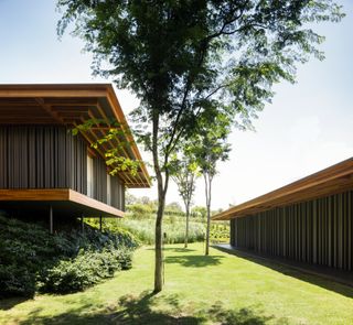 Two modern house volumes flanking a tree