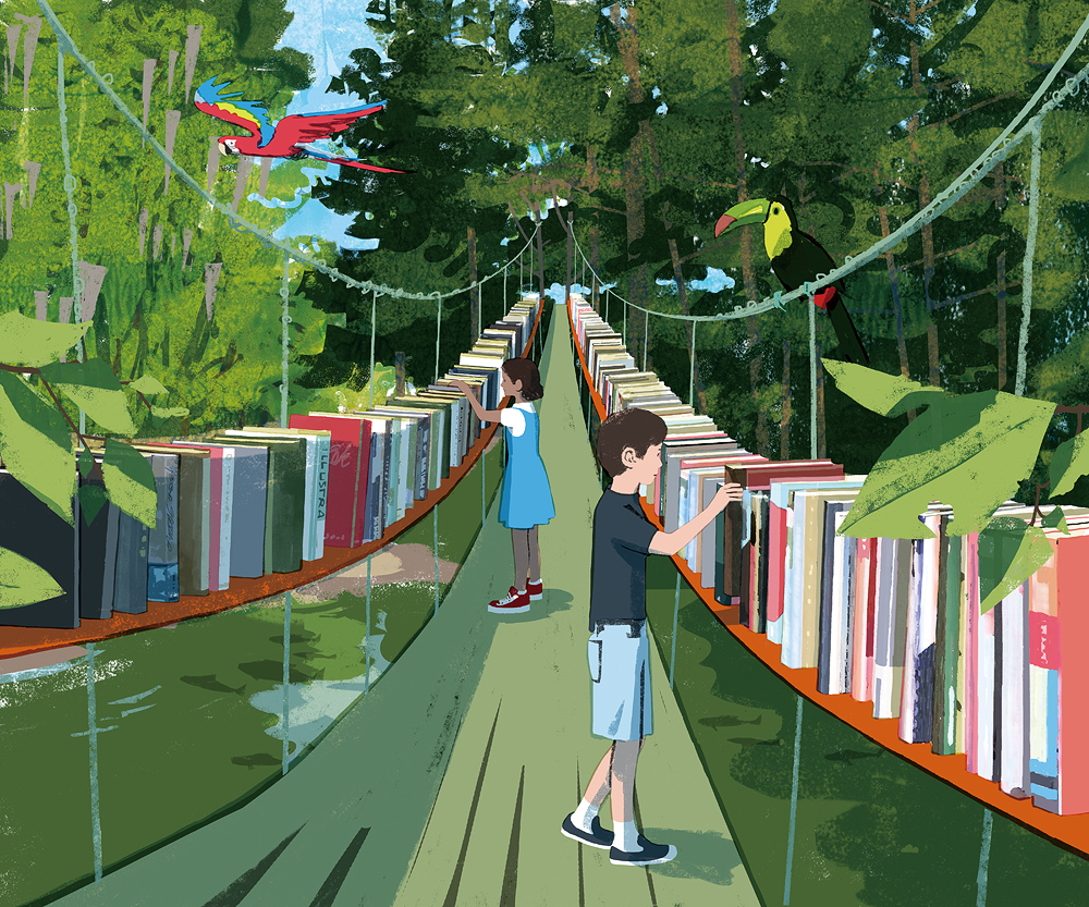 book illustrations
