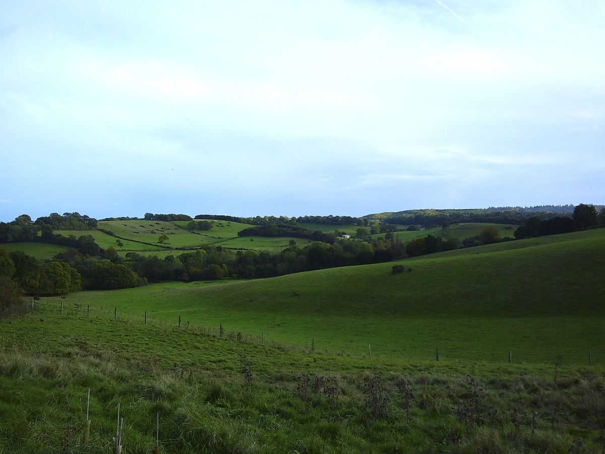 Hilly open vista, taken with the Camp Snap camera