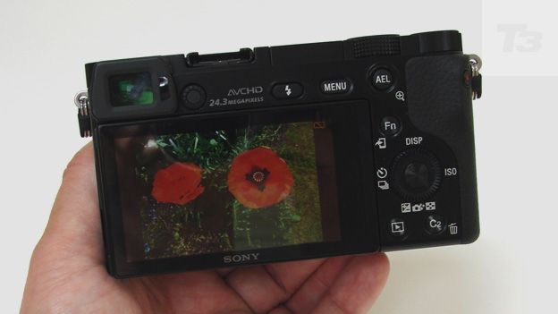 Sony A6000 review