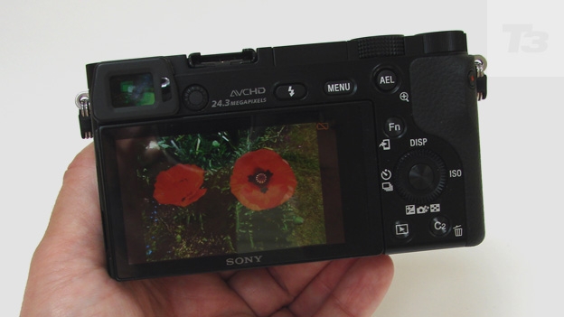 Sony A6000 review