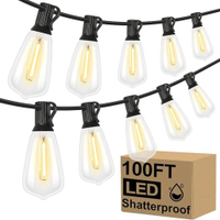 LED Outdoor String Lights