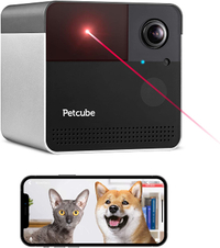 Petcube Cam 360