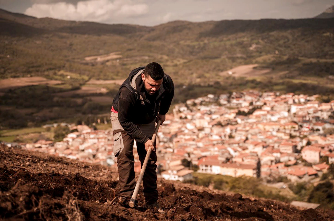 Teularju-winery Sardinia