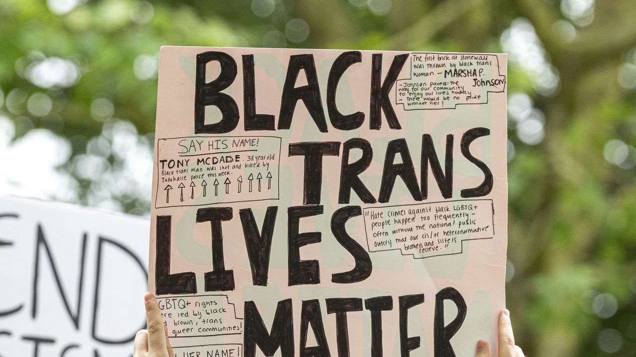 london, united kingdom 20200603 a protester holds a placard with black trans lives matter during the black lives matter protest at hyde park several protest have been sparked by the recent killing of george floyd, a black man who died in police custody in minneapolis, usa photo by dave rushensopa imageslightrocket via getty images