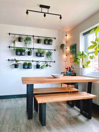 wooden dining table and benches with pots of herbs on the wall
