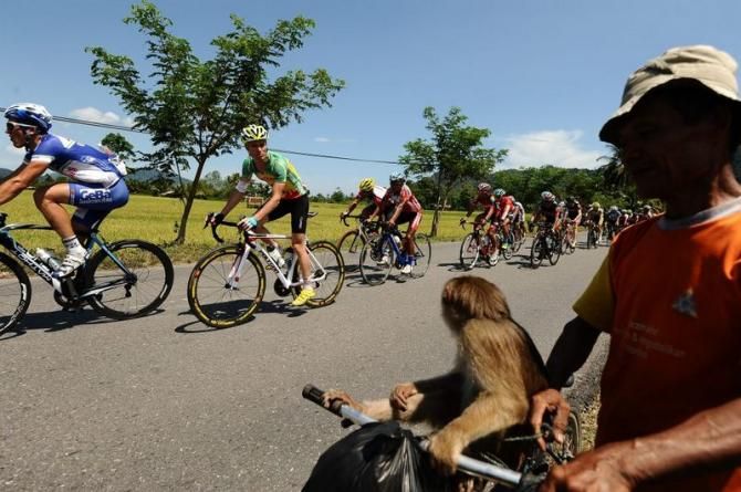 Even one of the local primates dropped by the race