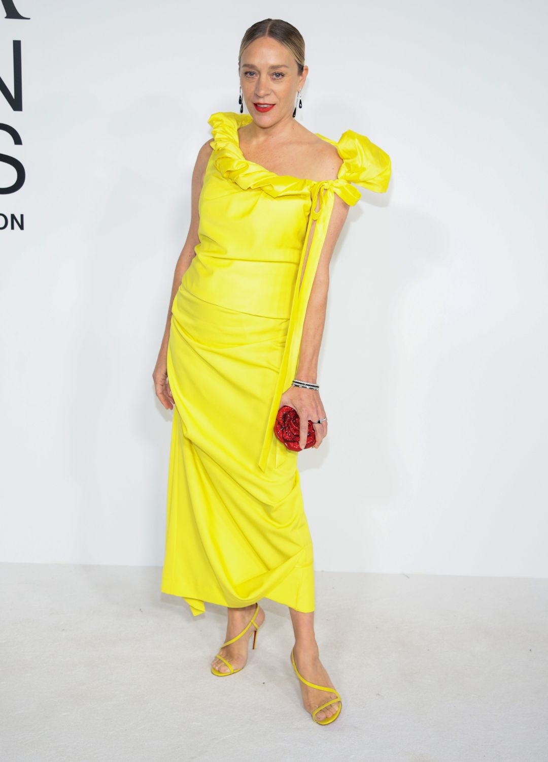 Chloë Sevigny