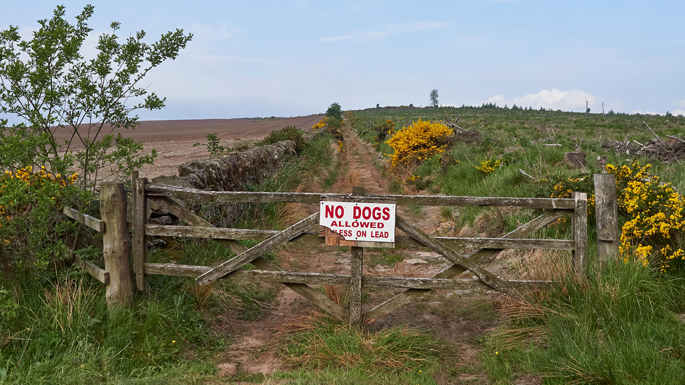 no-dogs-alamy-P56F4R.jpg