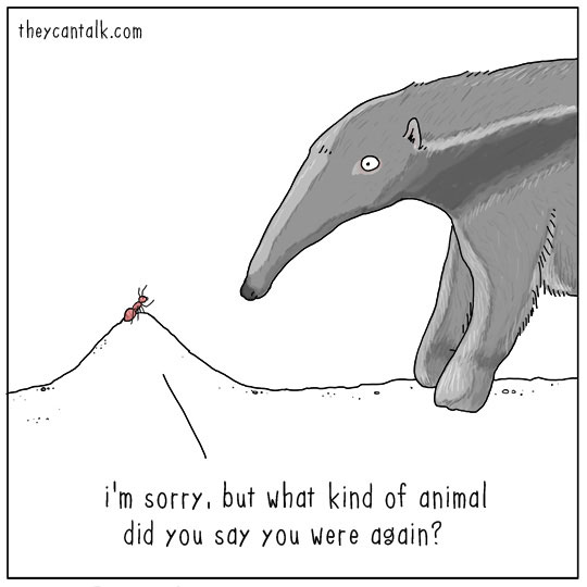 The Can Talk animal illustrations