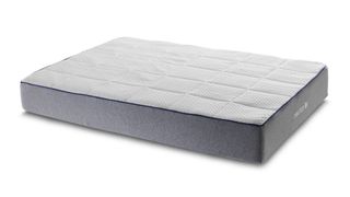 The Nectar Memory Foam Mattress with a grey base and white top
