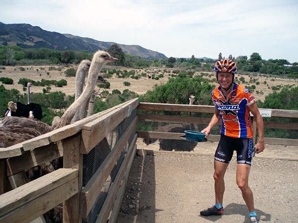 Wendy Simms enjoyed the ostriches.