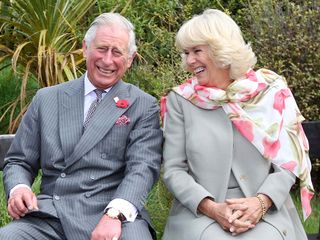 Camilla and King Charles - king charles speech
