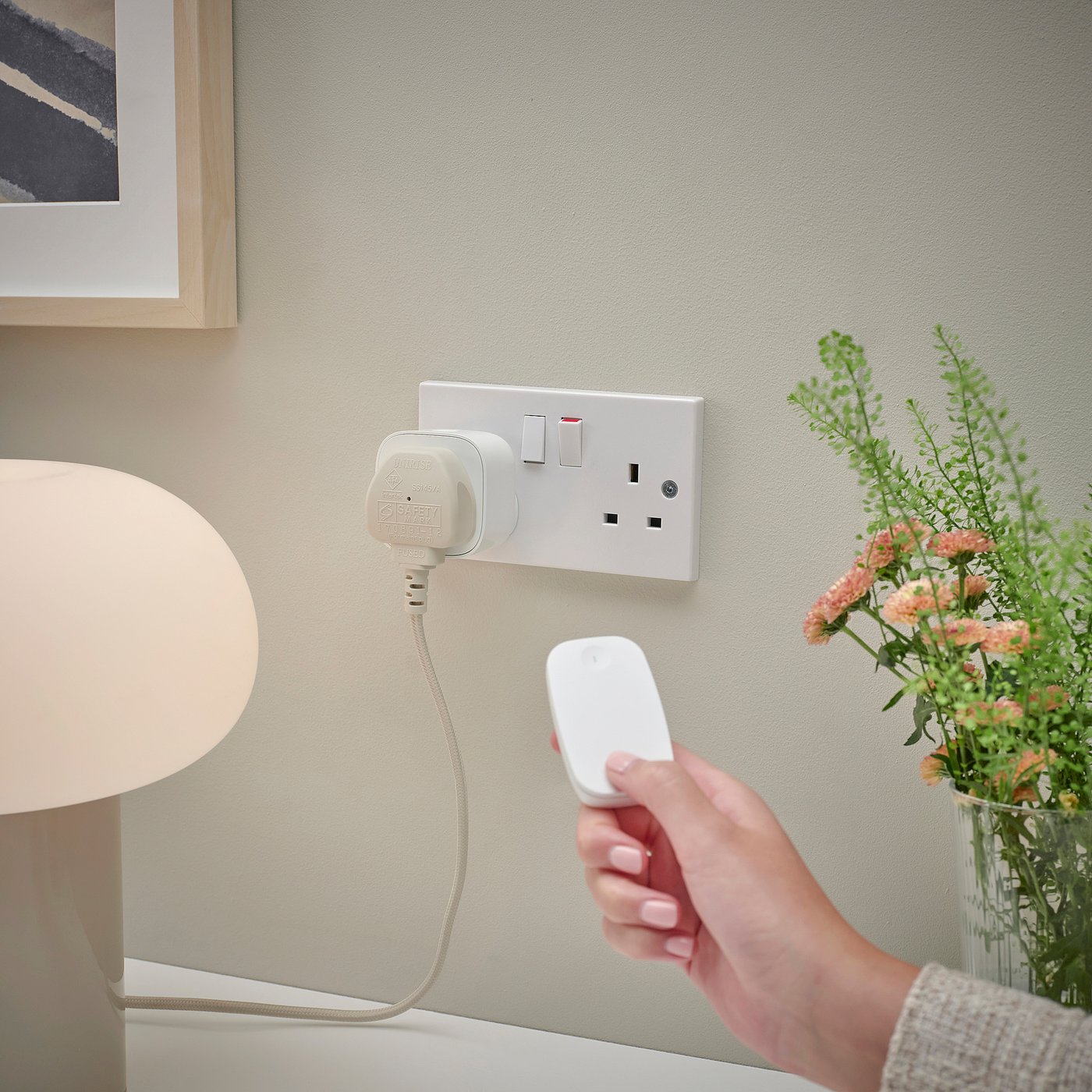 Tretakt Plug With Remote Control - Smart