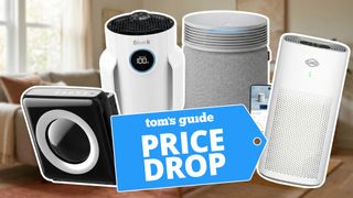 Collage of four air purifiers shown in a living room