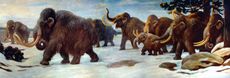 This mural at the American Museum of Natural History in New York City shows woolly mammoths near the Somme River.
