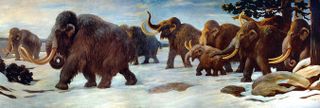 This mural at the American Museum of Natural History in New York City shows woolly mammoths near the Somme River.