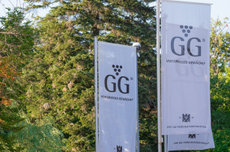 German-Grosses-Gew&auml;chs