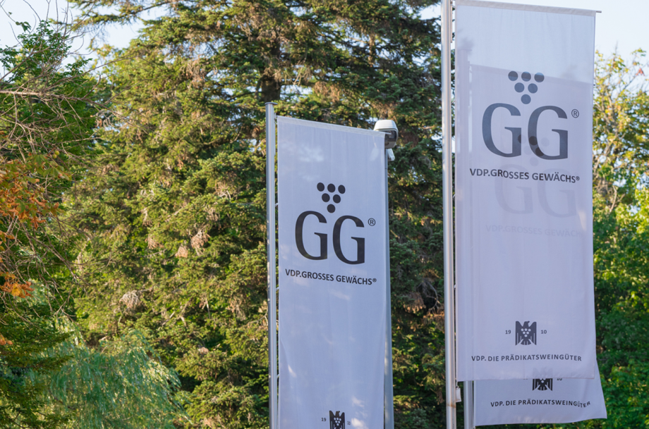 German-Grosses-Gew&auml;chs