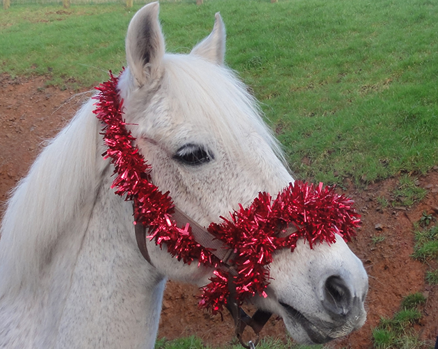 Rowan-with-tinsel.jpg
